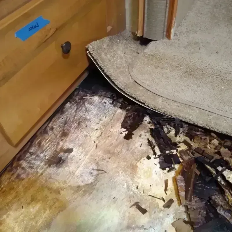 Wood Floor Water Damage in North Tustin, CA